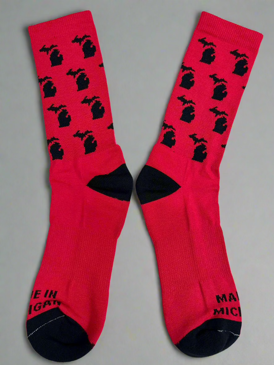 Michigan Red Wings Socks